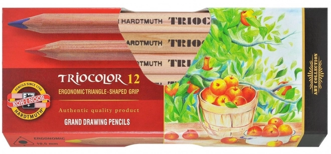 KOH-I-NOOR Trokutaste pastele Triocolor 3152 - 12 kom