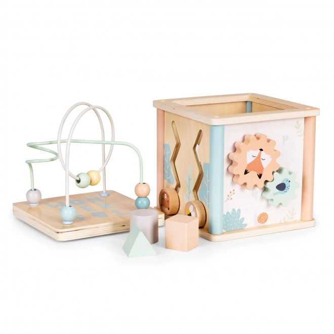 Drvene obrazovne kocke Ecotoys