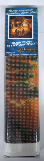 Dijamantno slikanje Hvatač snova s vukovima 30x40 cm