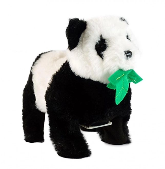 Akrobatska panda