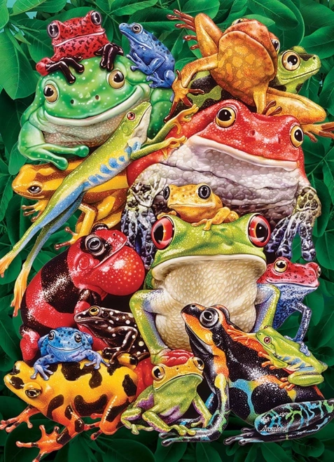Puzzle Žabji Biznis 1000 Komada