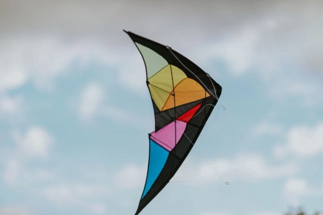 Leteći sportski zmaj Dragon 120 x 50 cm
