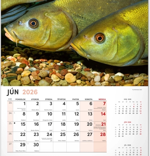 Zidni kalendar Ribolovački 2026