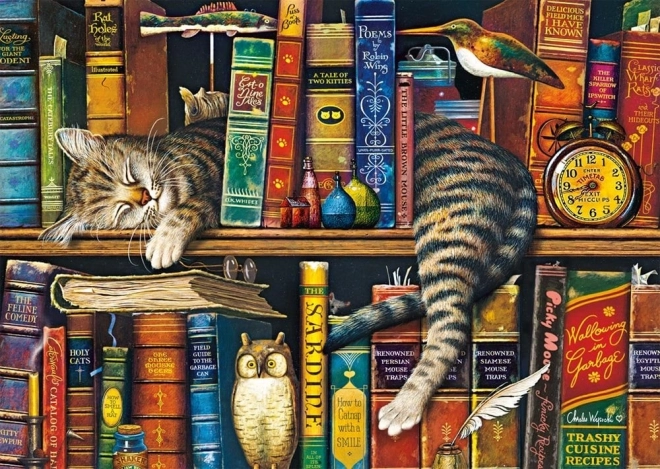 Puzzle od 1000 dijelova Frederick Pismenjak od SCHMIDT-a