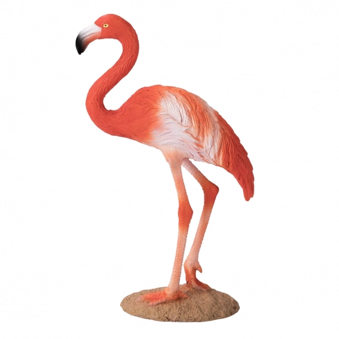 Mojo Američki flamingo