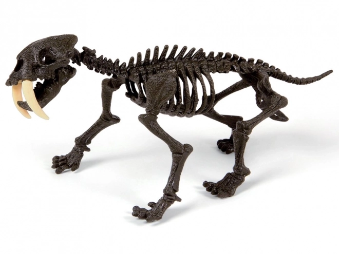 Clementoni Smilodon - Sklopiva Kostur Mačkolikog Tigra