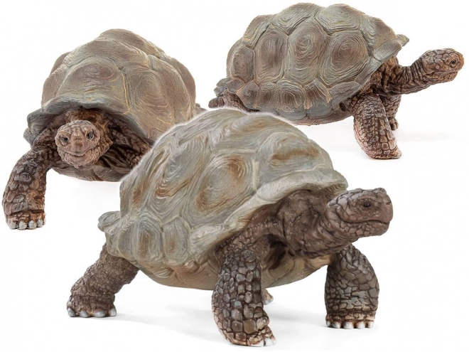 SCHLEICH Wild Life® 14824 divovska kornjača