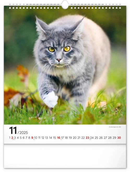 Zidni kalendar Mačke 2025, 30 × 34 cm
