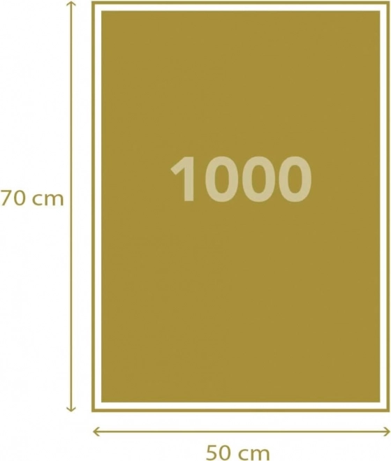 Slagalica s 1000 dijelova Život Einsteina