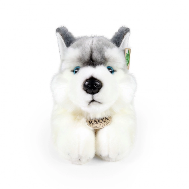 Rappa plišani pas husky ležeći 30 cm