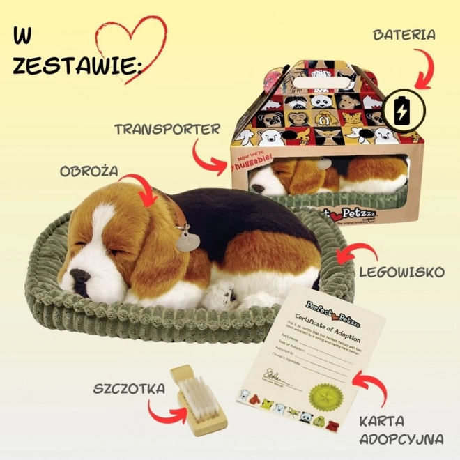 Dišuće štene Beagle Perfect Petzzz