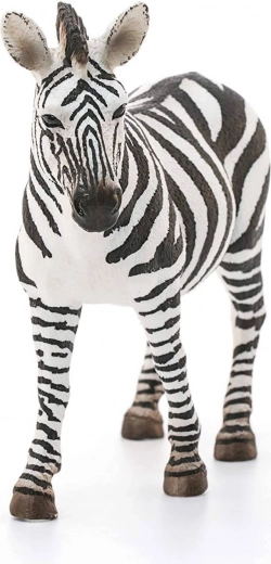 Idealno za kolekcije i obrazovanje