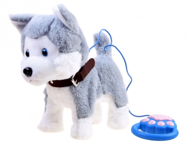 Interaktivni psić Husky na povodcu