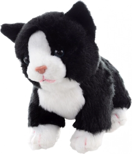 Stojeći položaj za igru i izlaganje