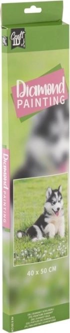 GRAFIX Dijamantno slikanje Husky 40x50cm