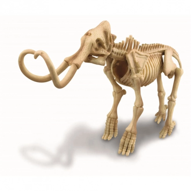 Iskopavanje - Mamut
