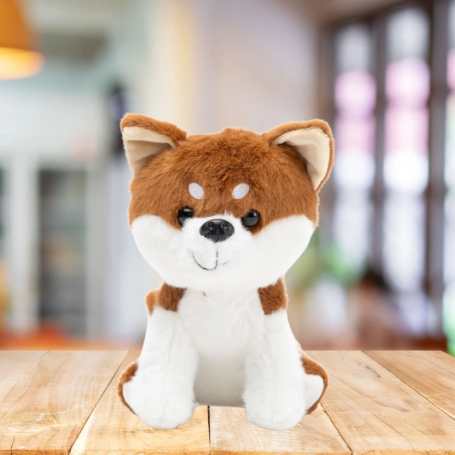 Plišani pas Shiba Inu smeđe-bijeli 20 cm