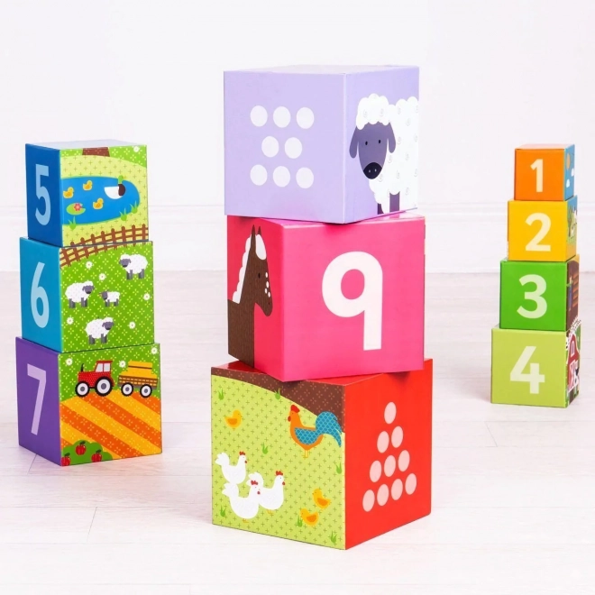 Bigjigs Toys Didaktičke kocke farma