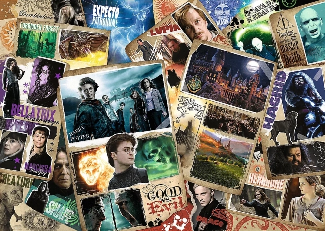 Puzzle 2000 dijelova Harry Potter Junaci