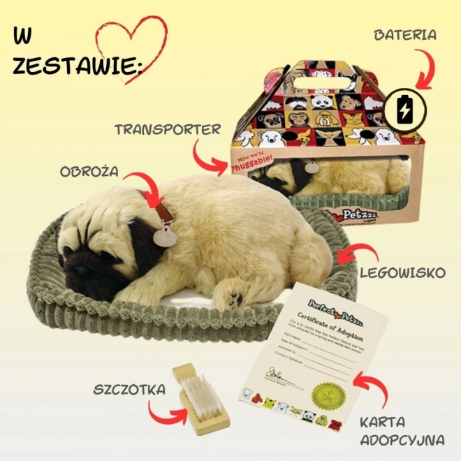 Dišući štene mopsa Perfect Petzzz