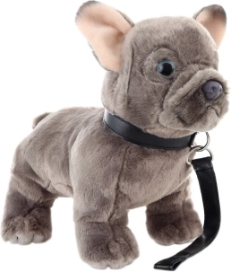 Plišani francuski buldog s povodcem 23 cm