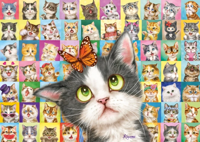 Puzzle SCHMIDT – mačji izrazi, 1000 dijelova