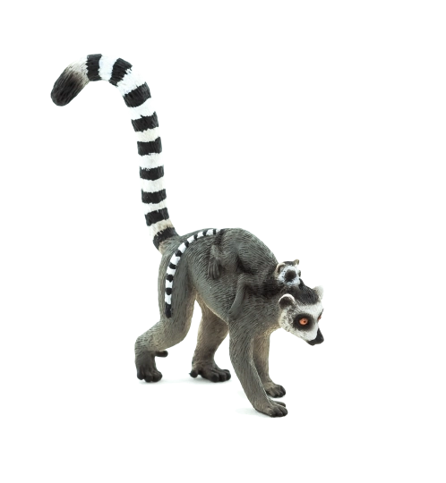 Mojo Lemur s mladunčetom