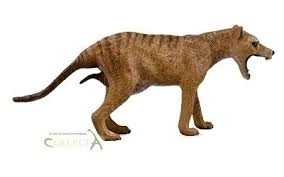 COLLECTA Tilacin (tasmanski tigar) – ženka