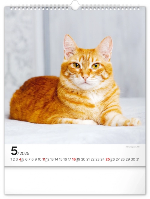 Zidni kalendar Mačke 2025, 30 × 34 cm