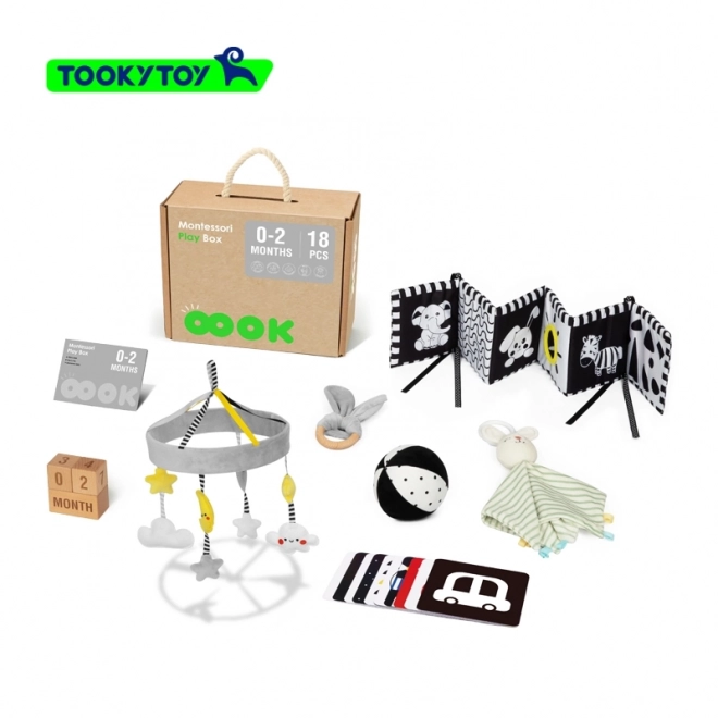 Montessori XXL edukativna kutija 7u1 TOOKY TOY