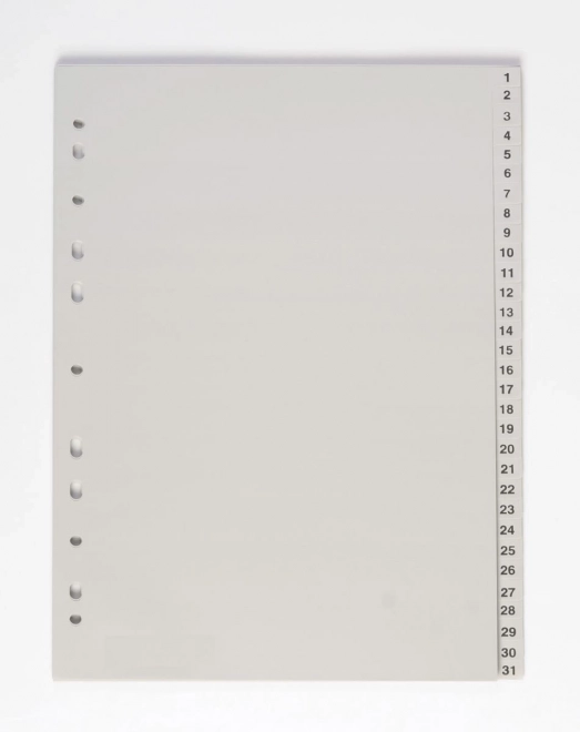 Razdjelnik dokumenata A4 1-31