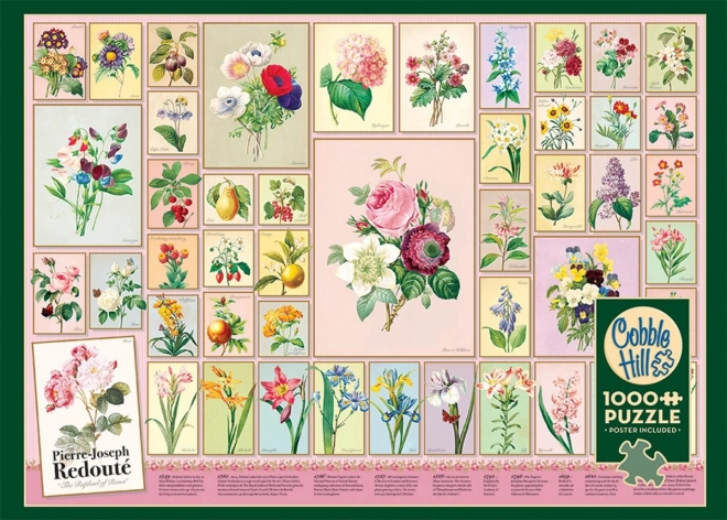 Puzzle Pierre-Joseph Redouté 1000 dijelova od Cobble Hill