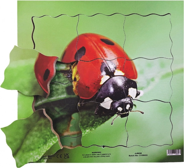 Just Jigsaws Drvene slojevite puzzle Bubamara i njezin životni ciklus 19 dijelova