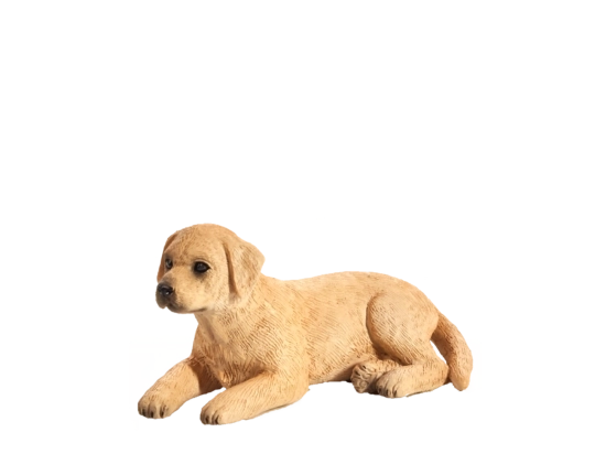Mojo Labrador štene
