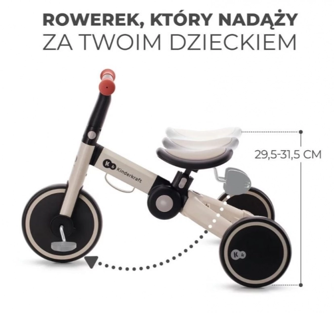 Trokolica 4TRIKE SREBRNO SIVA