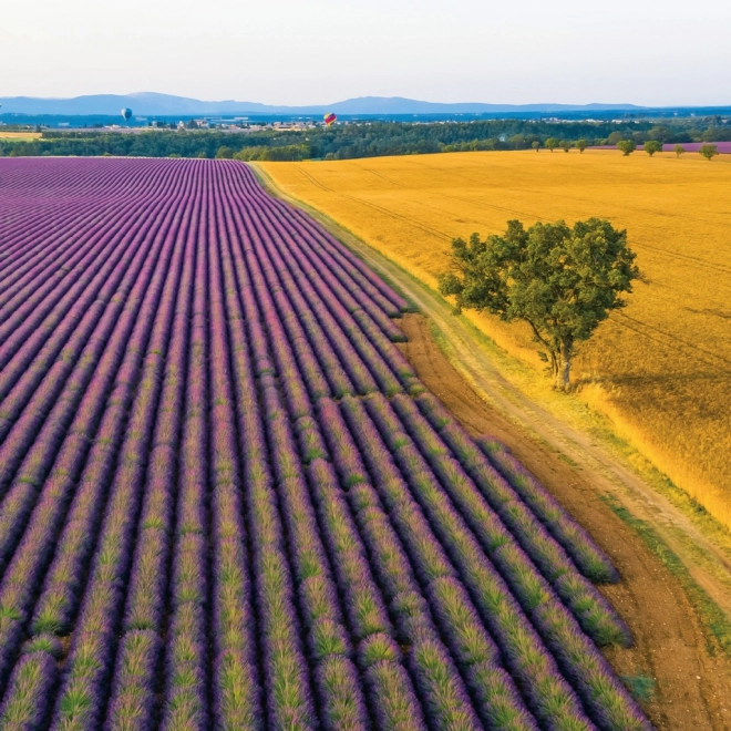 Kalendarska bilježnica Provence 2026