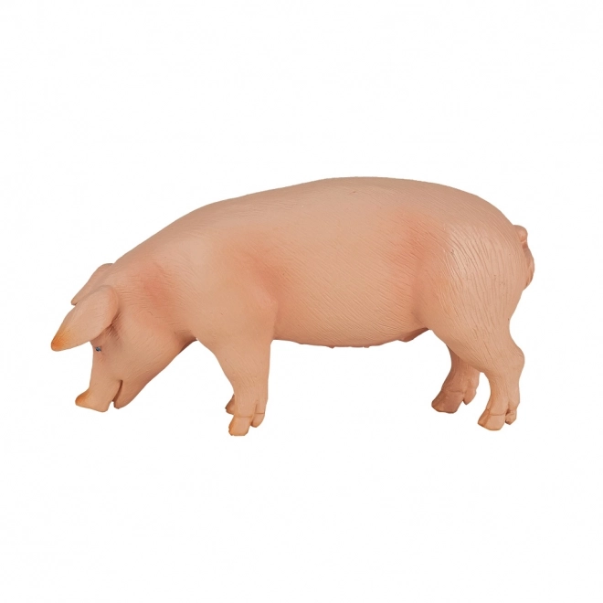 Mojo svinja figurica