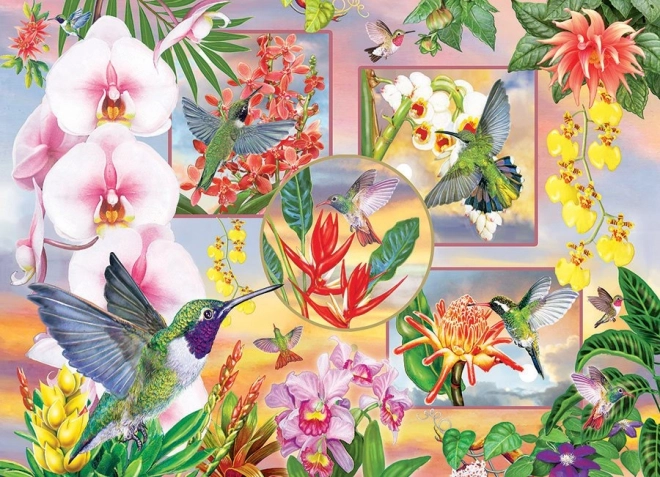 Puzzle Kolibrići 500 dijelova