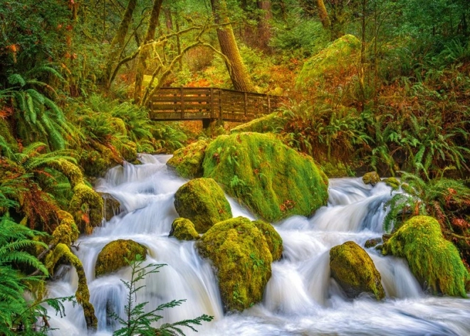 Puzzle Šumski vodopad 1000 dijelova