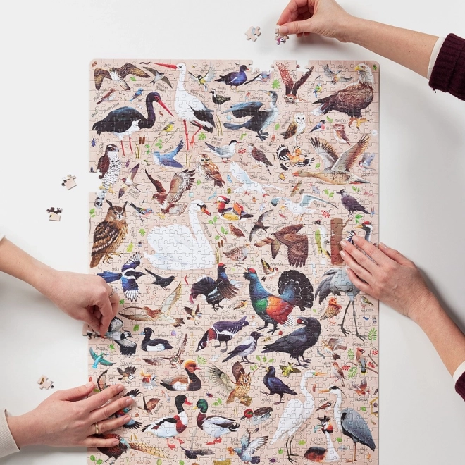 Puzzle Puzzlove Ptaki 1000 dijelova