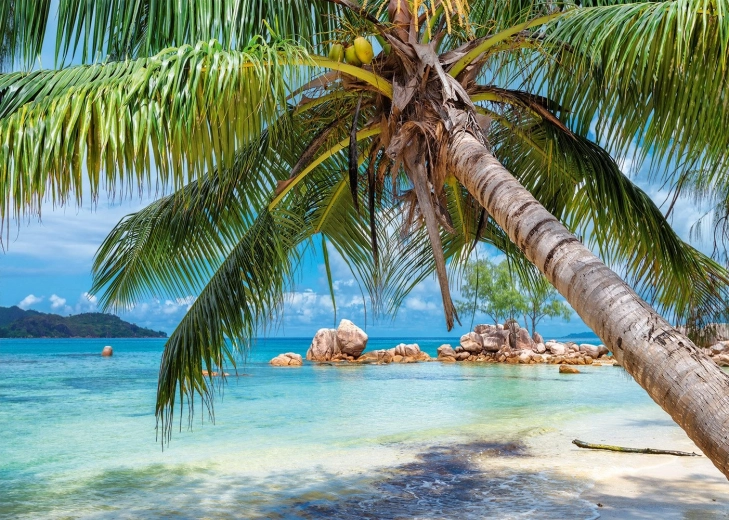 Slagalica Tropska plaža 1000 dijelova