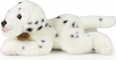 Eco friendly punjenje od PET boca