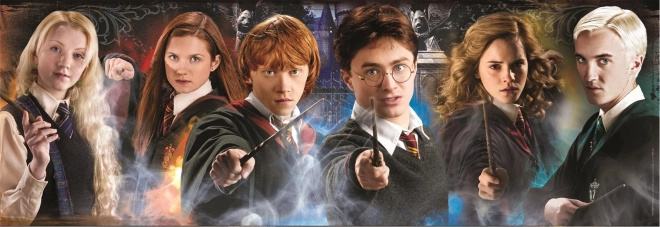 Puzzle panorama od 1000 dijelova Harry Potter: Učenici