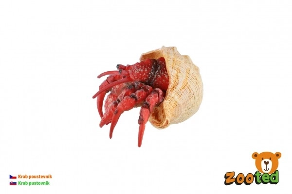 Pustinjak rak plast 7 cm u vrećici