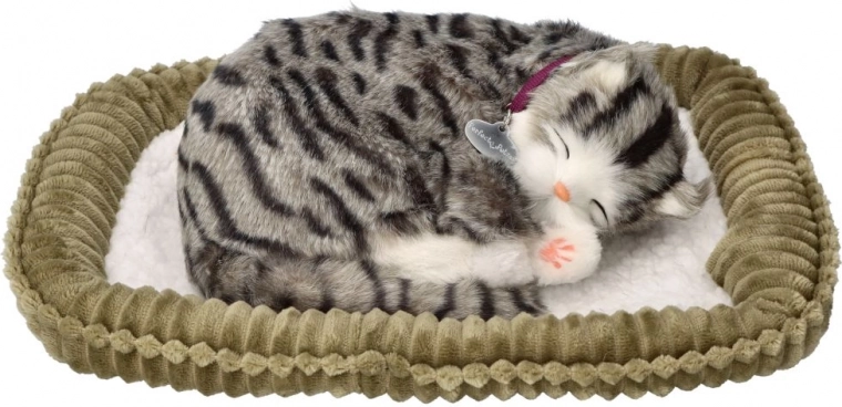 Realistično disanje i izgled