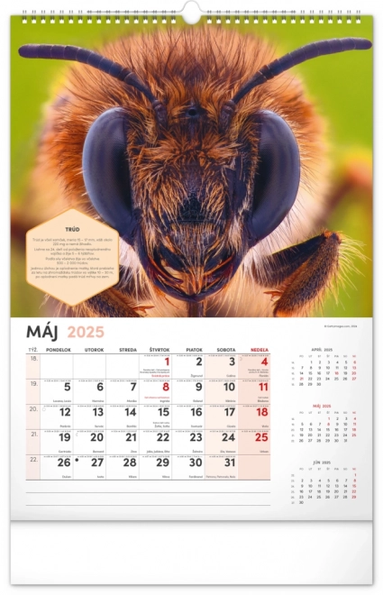 NOTIQUE Zidni Pčelarski kalendar 2025, 33 x 46 cm