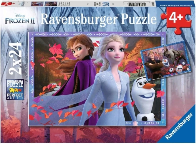 Puzzle 2x24 dijelova Snježno Kraljevstvo 2