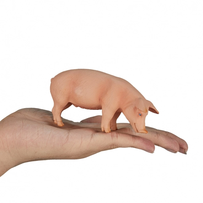 Mojo svinja figurica