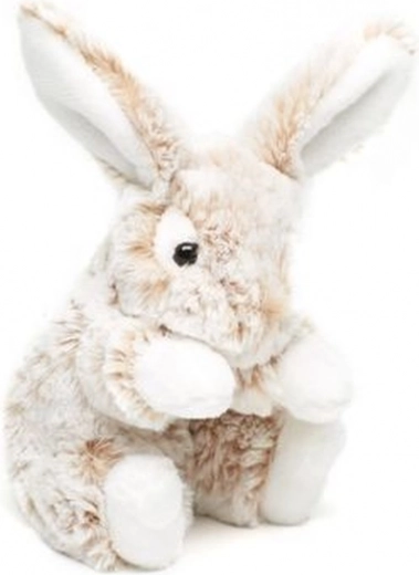 Idealna veličina 20 cm