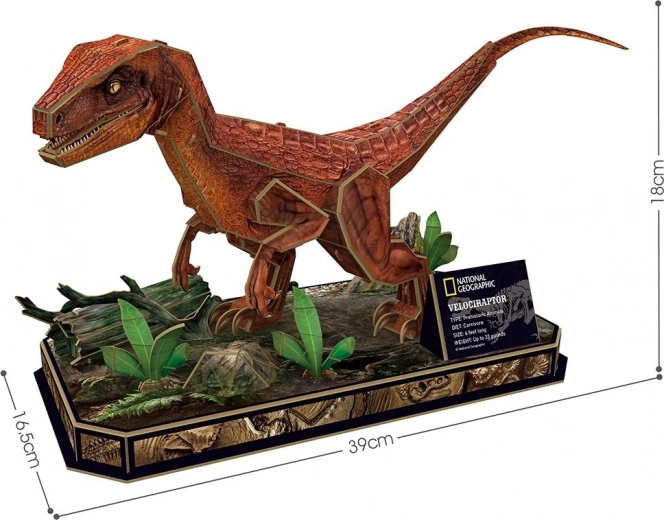 Realistic model with museum-style display
